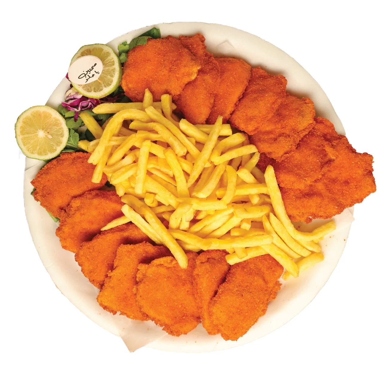 سكالوب