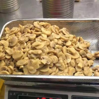 فطر مشرح نص كيلو