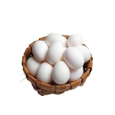 نص طبق بيض كبار