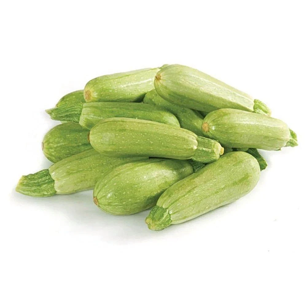 كيلو كوسه