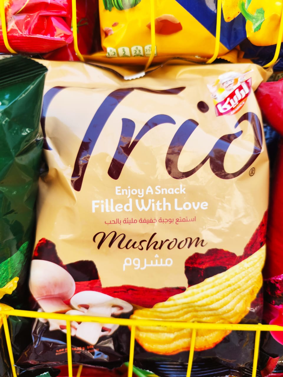 Trio مشروم