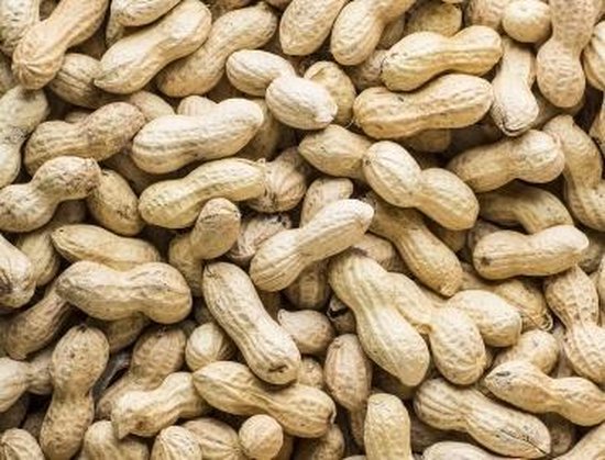 فستق اخضر