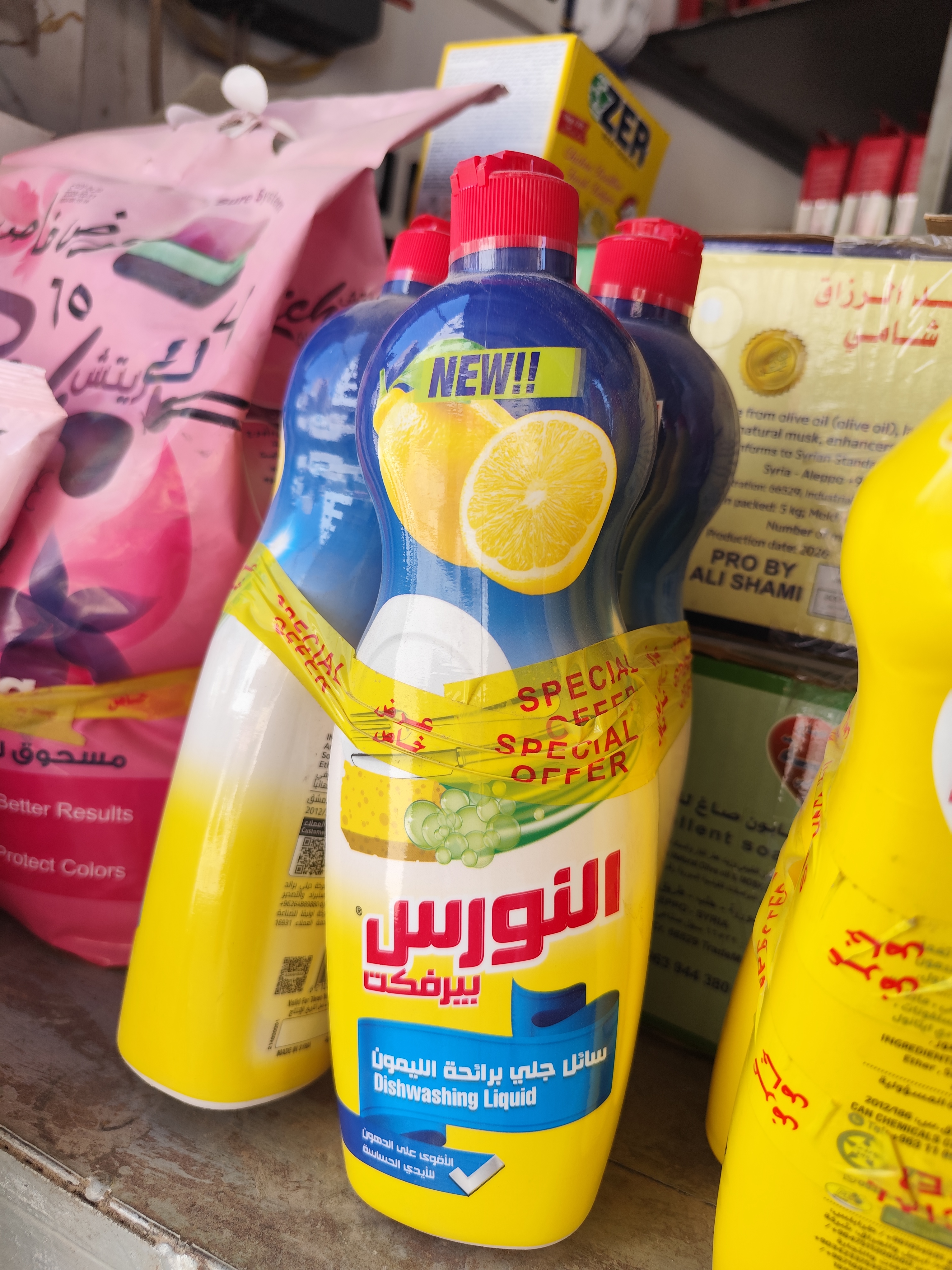 عرض النورس