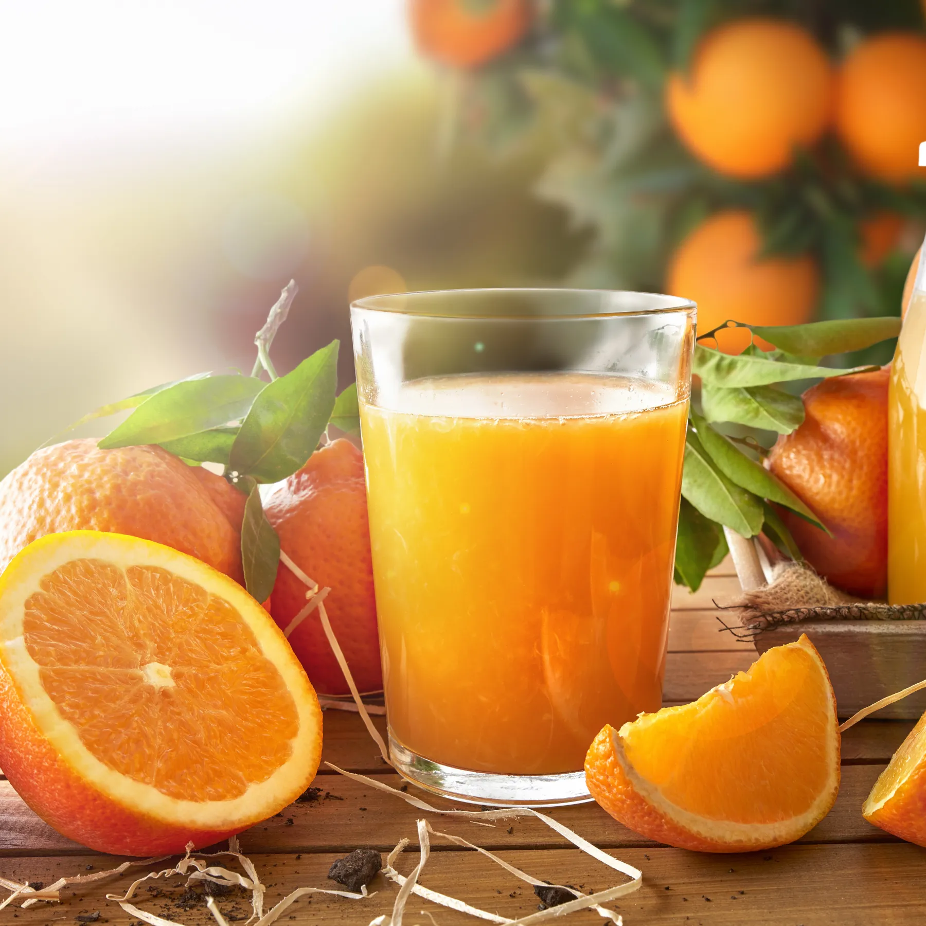 برتقال